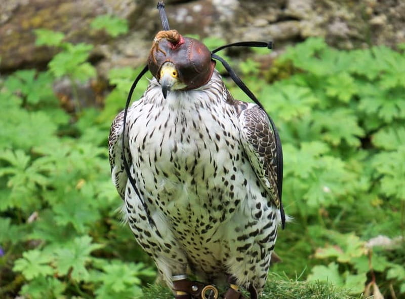 Inverness: Relaxed Private Northern Scottish Highlands Tour - Price and logistics