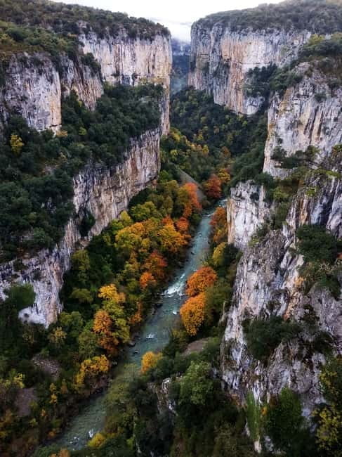 Irati Forest and Ochagavía Excursion - Key points / Takeaways