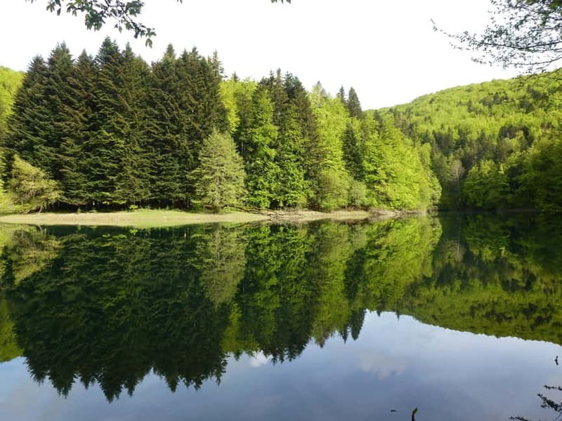 Irati Forest and Ochagavía Excursion - Cultural and Historical Stops: Zugarramurdi and Ikaburu Cave