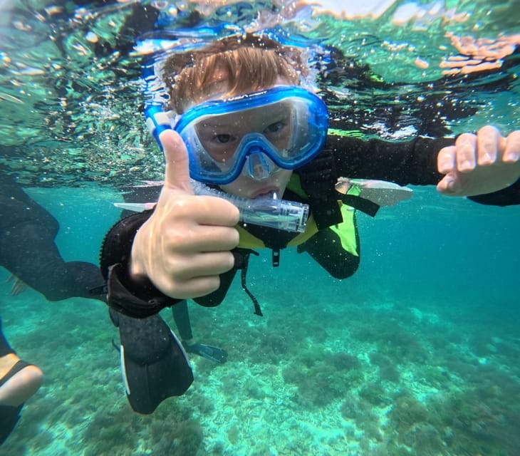 Iriomote: Coral Snorkeling and Yubujima Sightseeing Tour! - Included Amenities