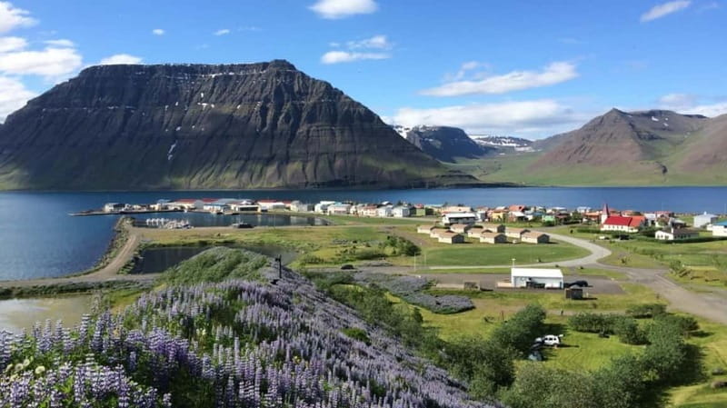 Ísafjörður: Flateyri Village tour: Local Culture & History - Final Thoughts: Who Should Consider This Tour?
