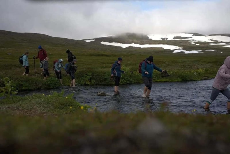Ísafjörður: Hornstrandir Guided Hike Aðalvík to Hesteyri - Price and Logistics: Worth the Investment?