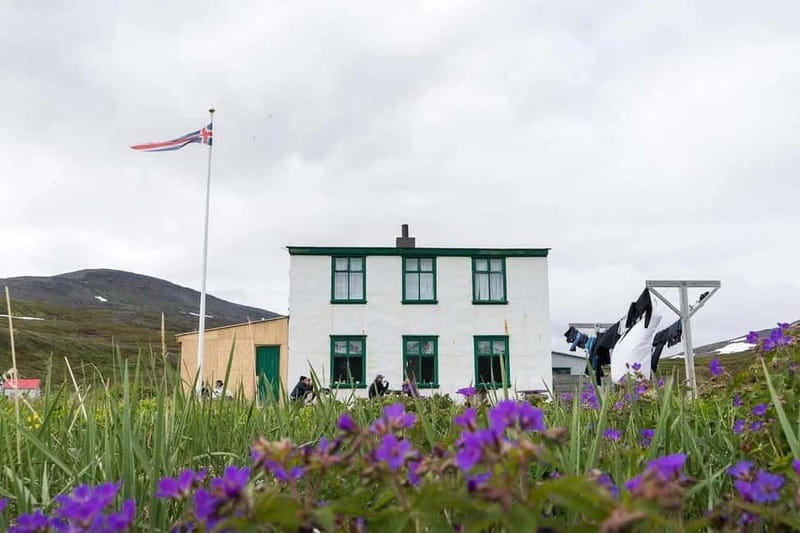 Ísafjörður: Hornstrandir Guided Hike Aðalvík to Hesteyri - Final Thoughts: Is It Worth It?