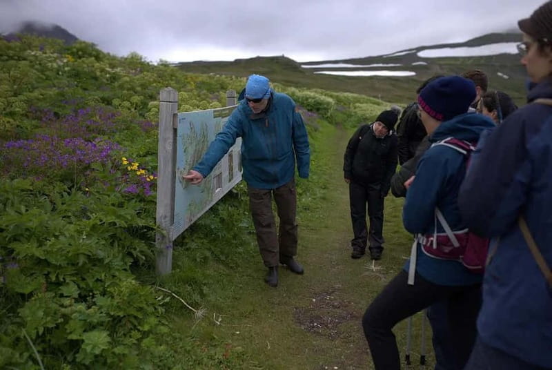 Ísafjörður: Hornstrandir Guided Hike Hesteyri to Aðalvík - Entering the Untouched Wilderness of Hornstrandir