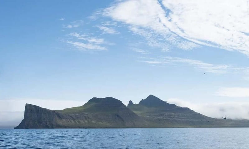 Ísafjörður: Hornstrandir Nature Reserve Guided Hike - Exploring Hornvík: The Heart of the Tour