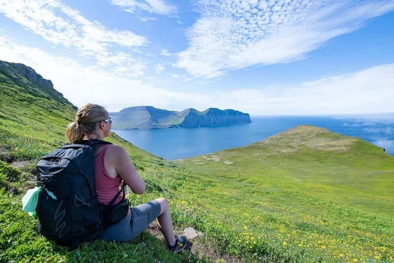 Ísafjörður: Hornstrandir Nature Reserve Guided Hike - Wildlife and the Rugged Terrain