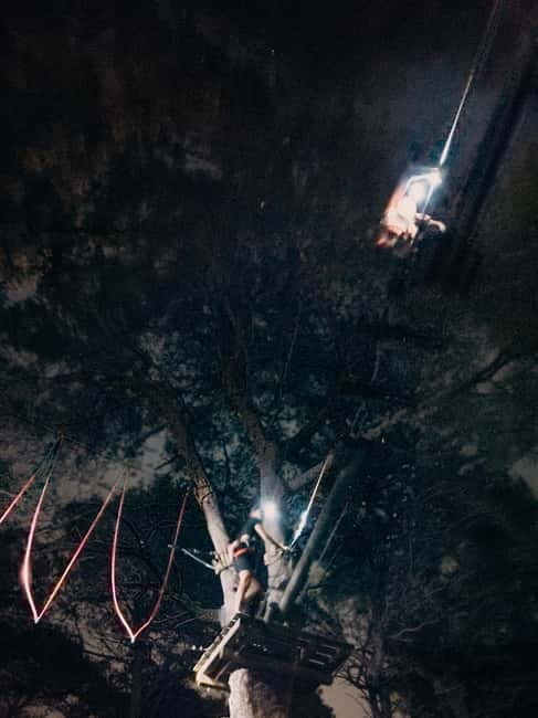 Ischia: Adventure Night with zipline - What to Expect: The Itinerary and Experience