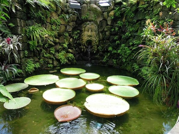 Ischia and La Mortella Gardens - What to Expect From This Tour