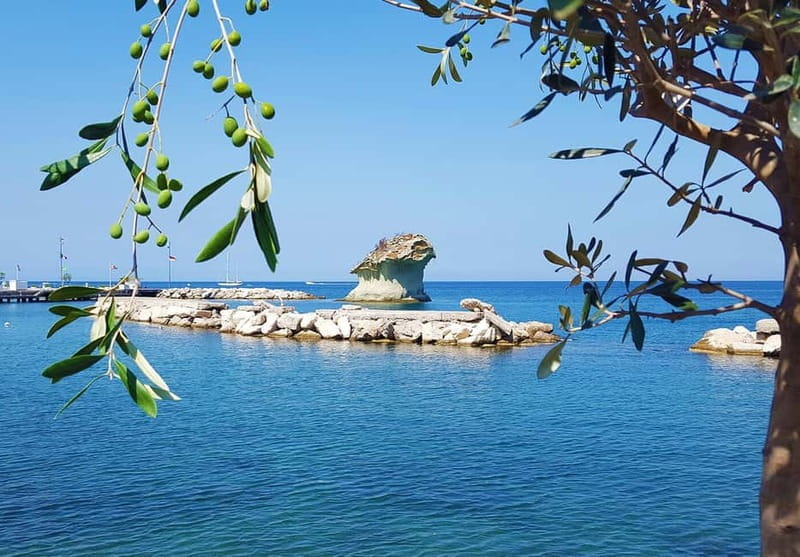 Ischia: Island tour by bus - The Hour in SantAngelo: A Highlight