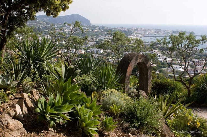 Ischia: La Mortella Gardens Trip with Optional Lunch - Walking Through the Botanical Masterpiece