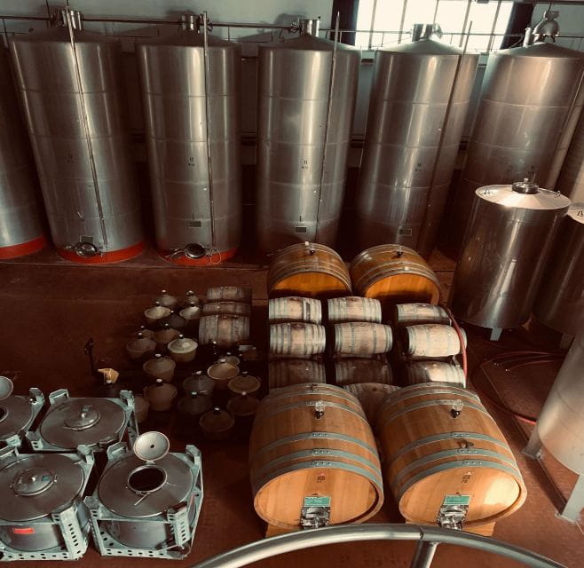 Ischia: Vineyard Tour & Wine Tasting Experience w/ Transfers - Key Points / Takeaways