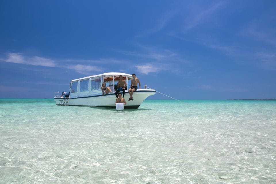 Ishigaki Island: Boat Snorkeling Tour at Phantom Island - Experience Highlights
