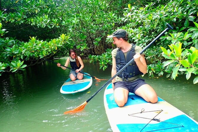 Ishigaki Mangrove SUP or Canoeing and Phantom Island Snorkeling - Pickup and Meeting Details
