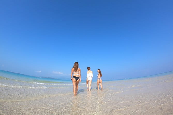 Ishigaki Mangrove SUP or Canoeing and Phantom Island Snorkeling - Prices and Booking