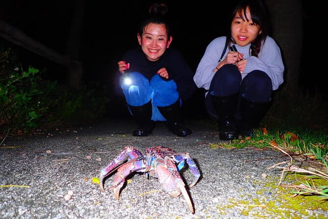 [Ishigaki] Night Jungle Tour - Whats Included in the Experience