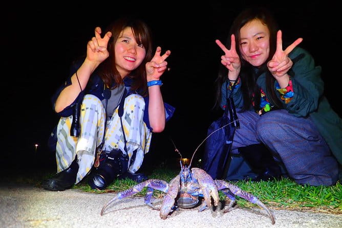 [Ishigaki] Night Jungle Tour - Exploring the Jungle at Night