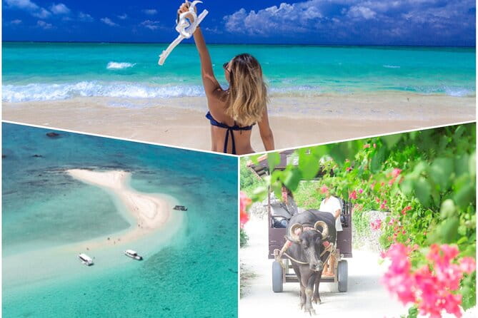 Ishigaki Phantom Island Snorkeling Taketomi Island Sightseeing - Key Points