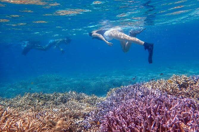 Ishigaki Phantom Island Snorkeling Taketomi Island Sightseeing - Participation Requirements