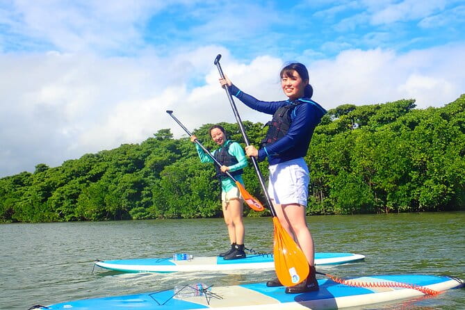 [Ishigaki]Mangrove SUP/Canoe Tour - Activity Details