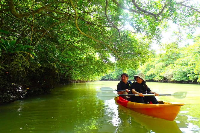[Ishigaki]Mangrove SUP/Canoe Tour - Stunning Natural Environment