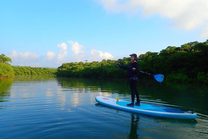 [Ishigaki]Mangrove SUP/Canoe Tour - Included Amenities and Services