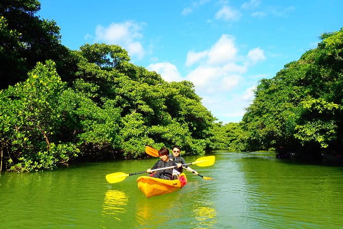 [Ishigaki]Mangrove SUP/Canoe Tour - Convenient Pickup and Meeting Point