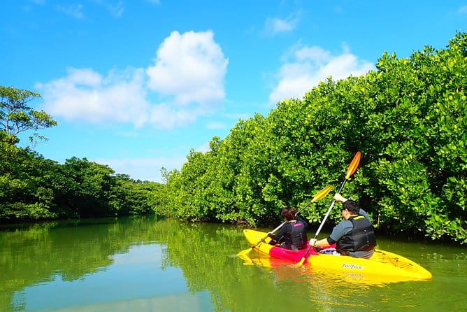 [Ishigaki]Mangrove SUP/Canoe Tour - Important Information and Policies