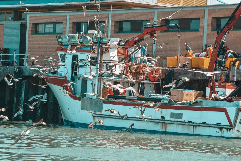 Isla Cristina/Isla Canela: Boat Trip Through the Marshes - Experience Highlights