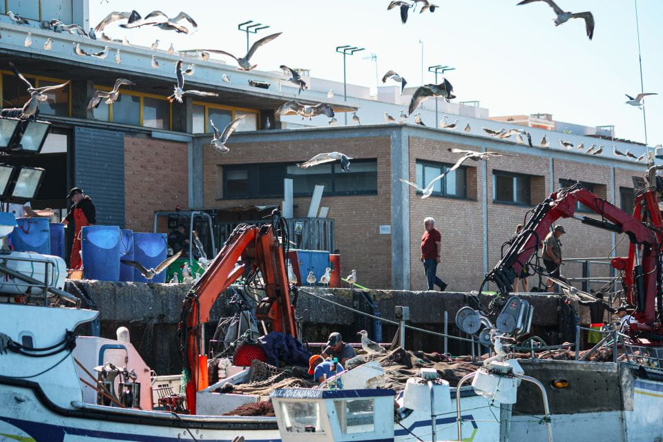 Isla Cristina/Isla Canela: Boat Trip Through the Marshes - Things To Know