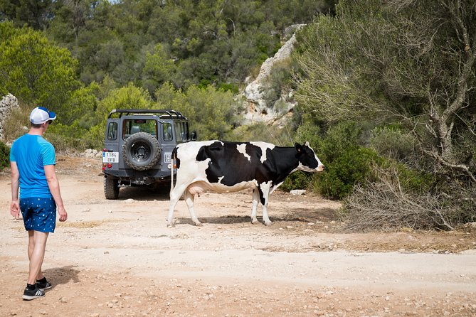 Island Discovery - Professional Guide Expertise