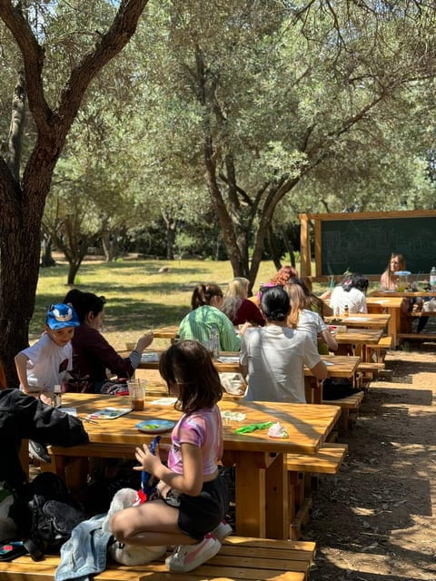 Island Escape: One-of-a-Kind Local Workshop on Lokrum Island - Practical Details and Logistics