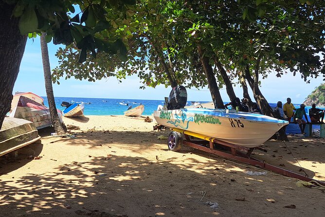 Island Tour (Food and Drinks Include) - Pickup Information