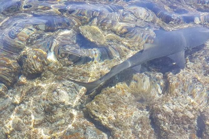 Island Tour With a Local Guide - Cancellation Policy