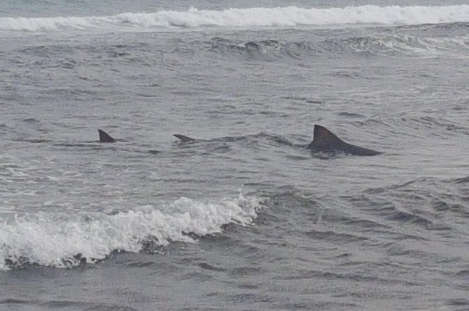 Island Tour With a Local Guide - Island Exploration