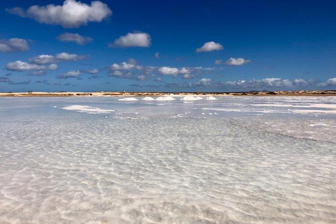 Island Tour With a Local Guide - Local Guide Insights