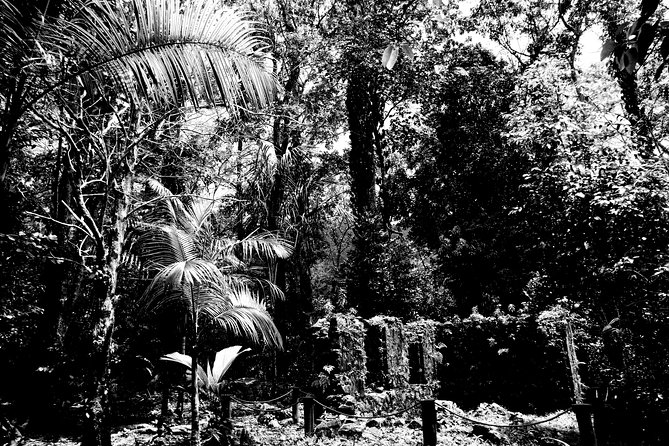 Island Tour With the Beach Buggy - Discovering Hidden Beach Gems