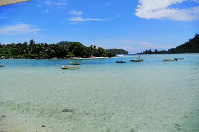 Island Tour With the Beach Buggy - Flexible Pickup and Drop-off Options