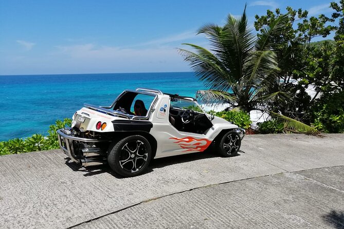 Island Tour With the Beach Buggy - Suitability and Availability Information