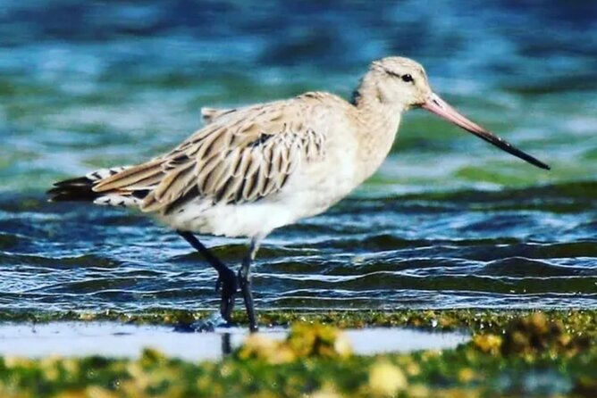 Islands + Typical Lunch at a Fisherman's House - Meeting Point