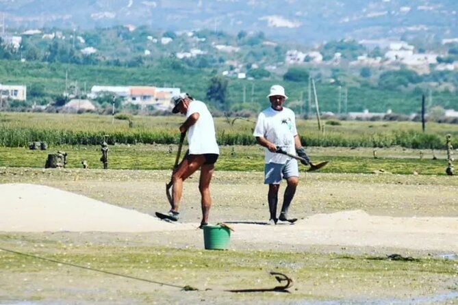 Islands + Typical Lunch at a Fisherman's House - Weather Conditions