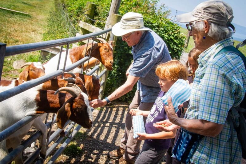 Isle of Arran: Farm Experience Entry Ticket - The Sum Up