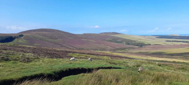 Isle of Man: Half Day Northern Discovery Tour - Final Thoughts on the Isle of Man Half Day Northern Discovery Tour