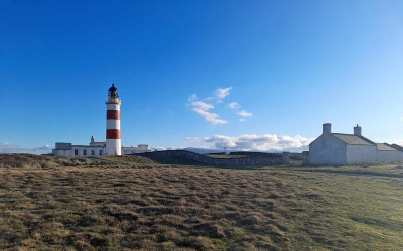 Isle of Man: Half Day Wildlife Adventure Tour - Exploring the Wilds and Wonders of the Isle of Man