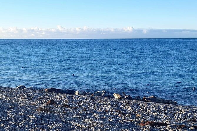 Isle of Man Wildlife & Scenic Adventure with Wildlife enthusiast - Who Would Love This Tour?