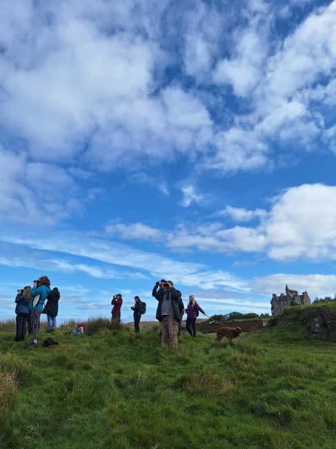 Isle of Mull: Guided Wildlife Watch at Glengorm Castle - In-Depth Review of the Wildlife Watch at Glengorm Castle