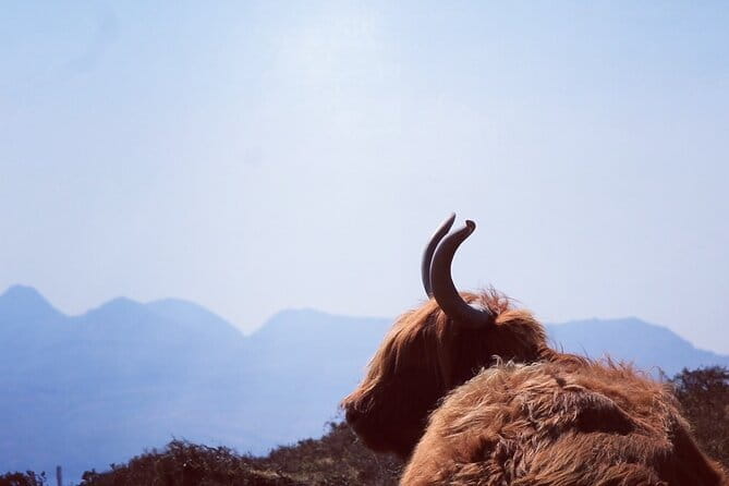 Isle of Skye and Fairy Pools Day Tour leaving from Portree - Key Points