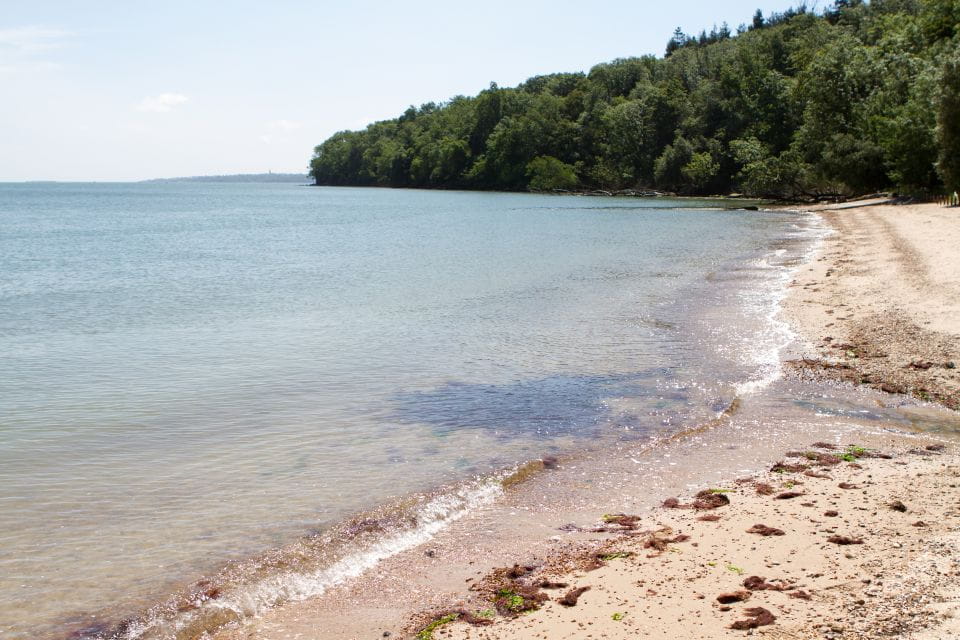 Isle of Wight: Osborne Admission Ticket - Highlights and Experience