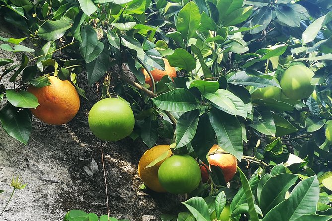 Isola Bella Fishermens Island Private Tour With Micaela - Meeting Information