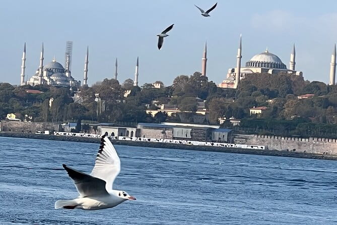 Istanbul Airport or Cruise Ship Private Layover Tour - FAQ