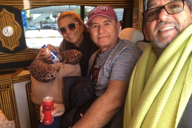 Istanbul Airport Transfer Private Minivan or Minibus - Deep Dive: What’s a Typical Arrival or Departure Like?